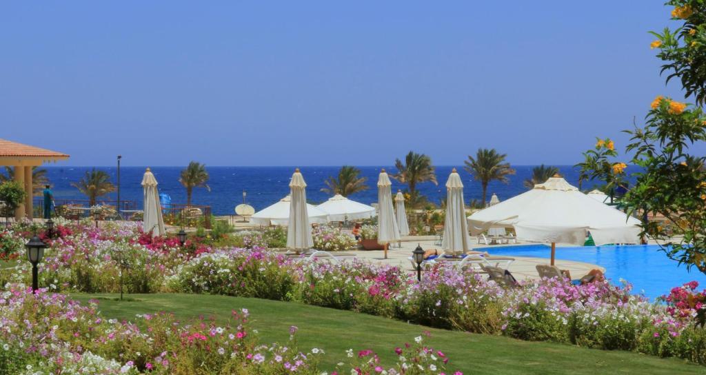 אבו דבאב Royal Brayka Beach Resort מראה חיצוני תמונה